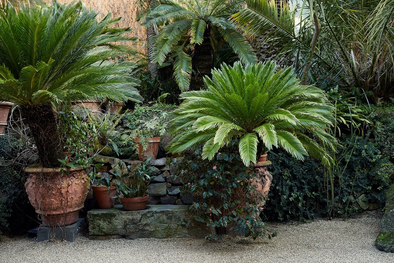 copyright_a_geernaert_044